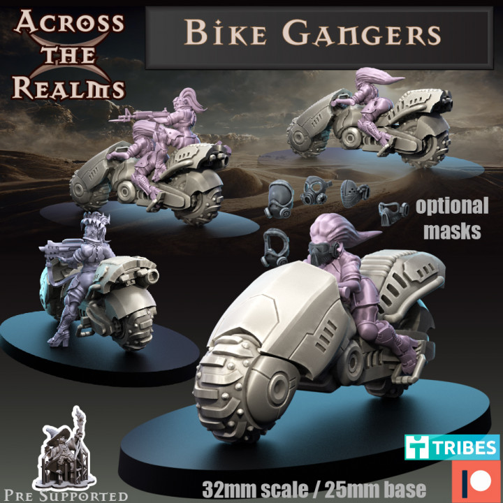 Bike Gangers image