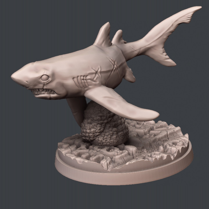 Mako Shark image