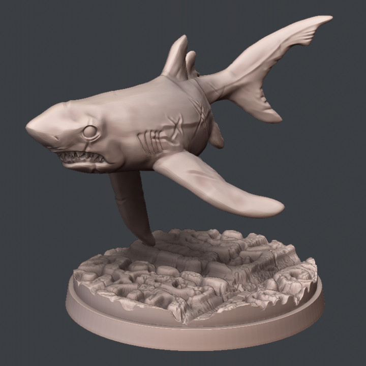 Mako Shark image