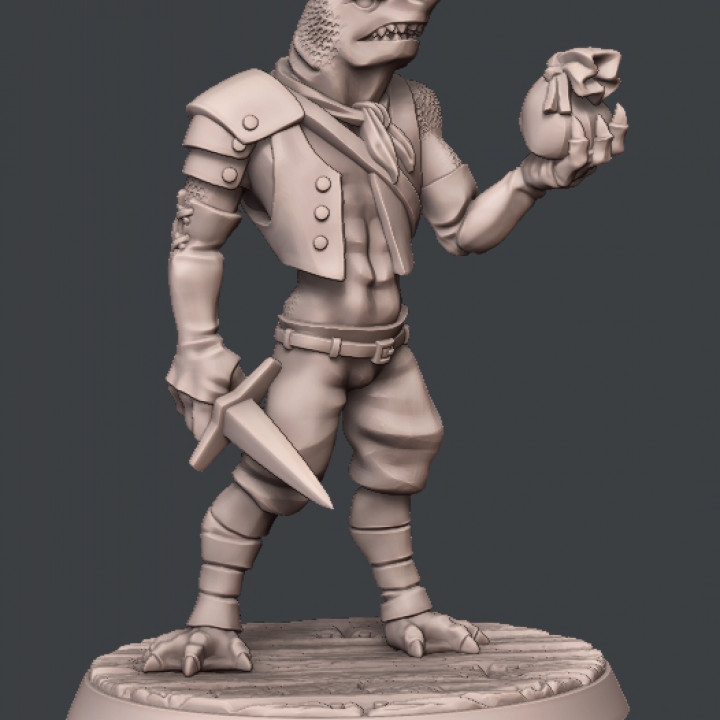 Wereshark Rogue
