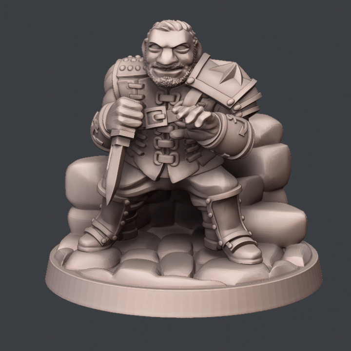 Dwarf Brawler image