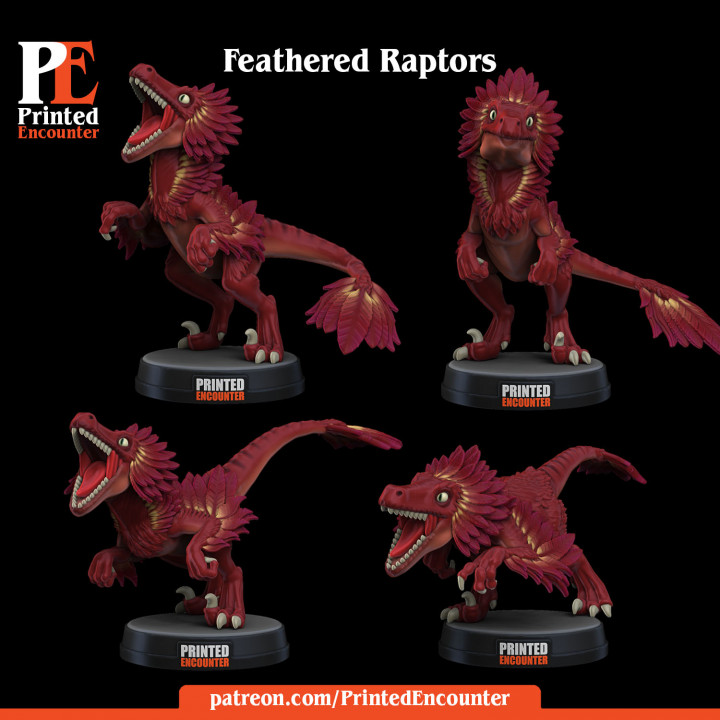 Feathered Raptors / Dinosaurs