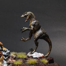 Picture of print of Raptor Pack