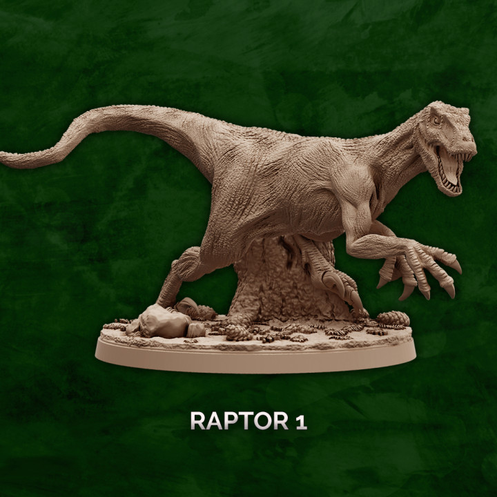 Raptor Pack image