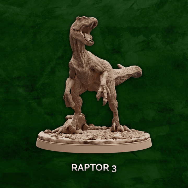 Raptor Pack image