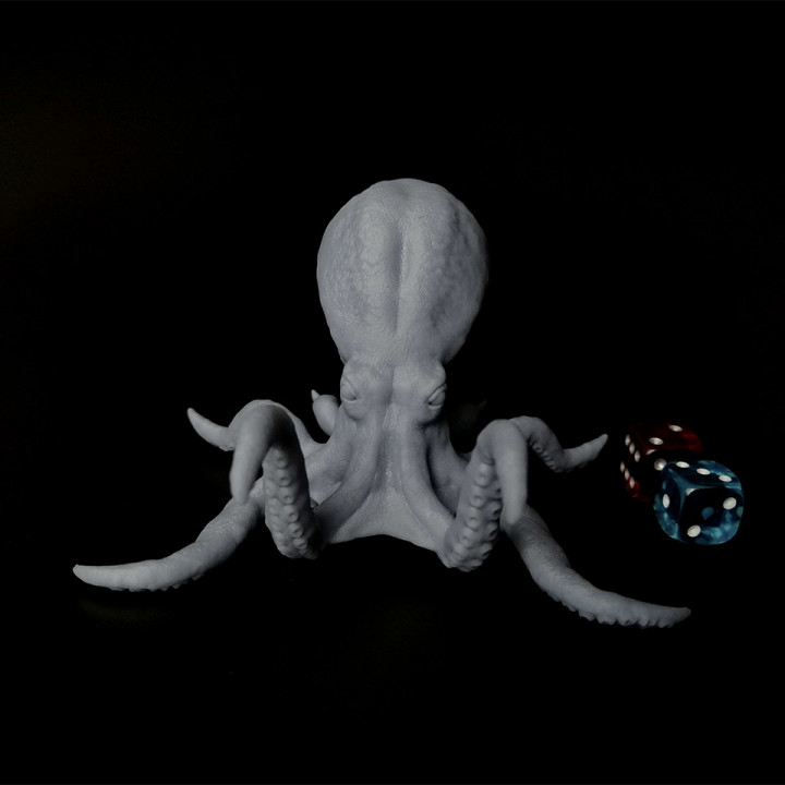 Octopus 100mm -Ziggy