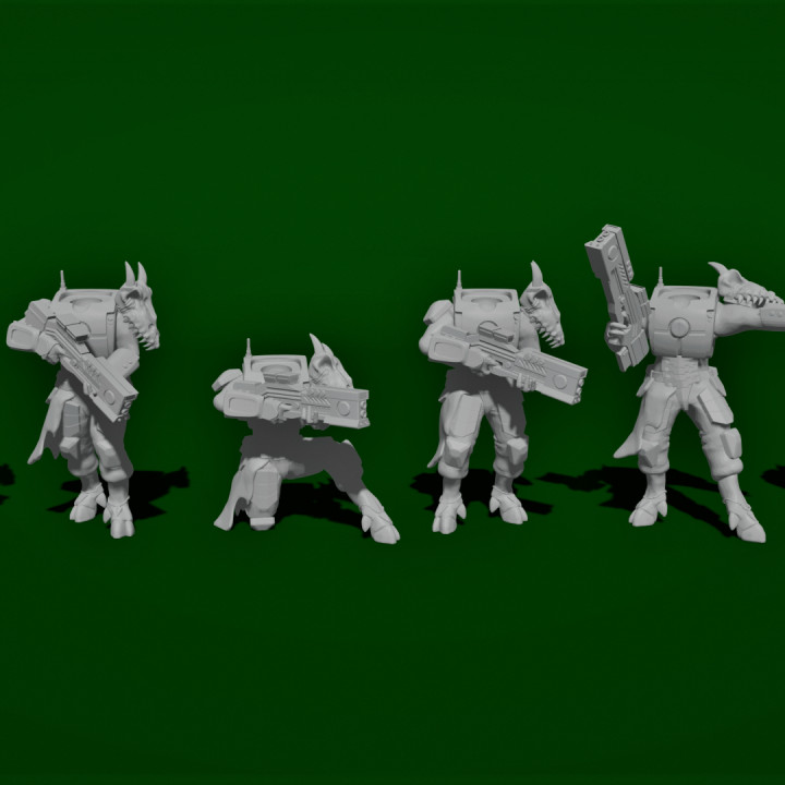Wayfairers Confederation Scouts image