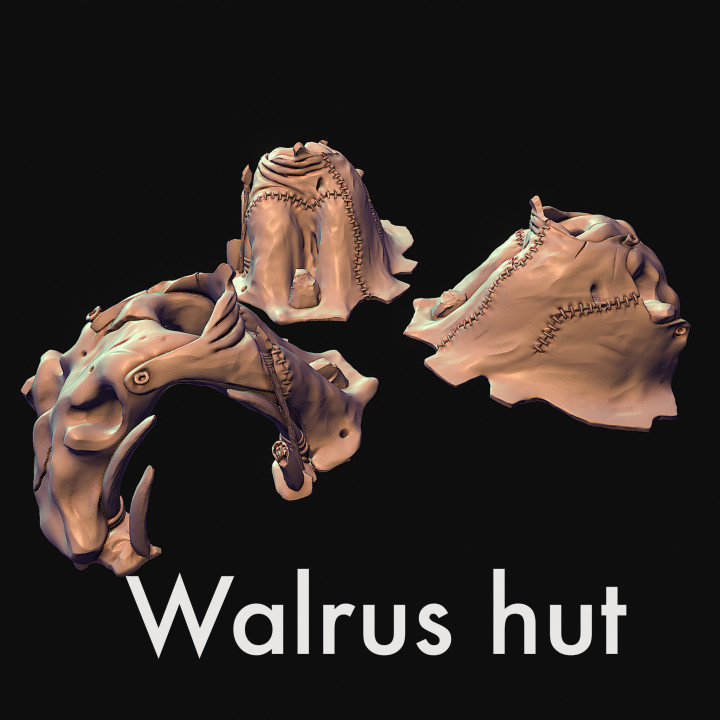 Tribal hut